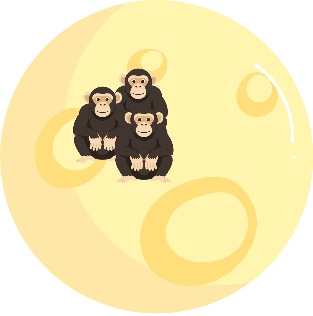 Apes sitting on the moon